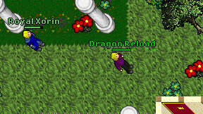 Dragon Reload on screen