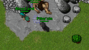 Fihu'zin on screen