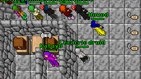 Leracrio druid on screen