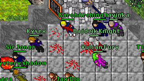 Bajdzik Knight on screen