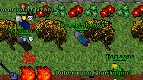 Kvack Mcanka on screen