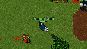 Moon Hadil on screen