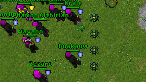 Buakauw on screen