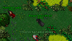 Reys Sorcerer on screen