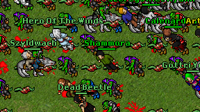 Shammora on screen