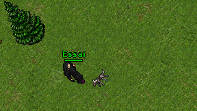 Essai on screen