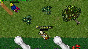 Kritexol on screen