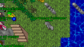 Darkness Follower on screen