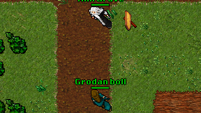 Grodan boll on screen