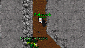 Polaczrk on screen