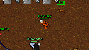 Heelay on screen