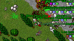 Bleu Chocobo on screen