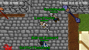 Lord Mate on screen