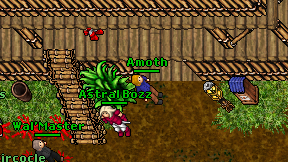 Amoth on screen
