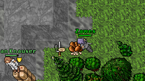 Zawes on screen