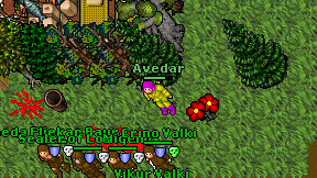 Avedar on screen