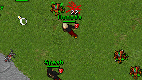 Honoda on screen