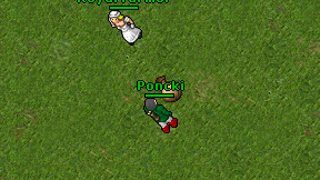 Poncki on screen