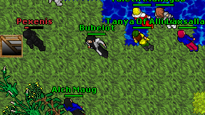 Bubelot on screen