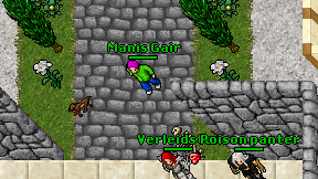 Manis Gair on screen