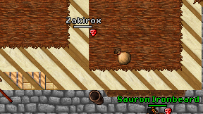 Zakirox on screen
