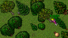 Kabibi on screen