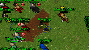 Wajegi on screen