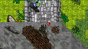 Acutus on screen