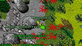Ktpov Skip on screen