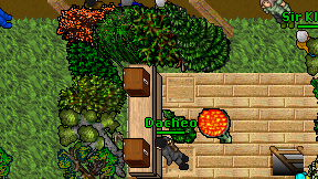 Dacheo on screen