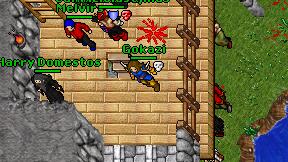 Gokazi on screen