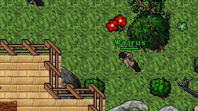 Wajrus on screen