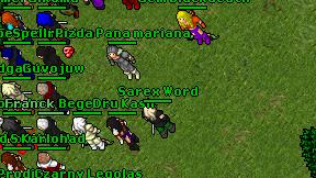Sarex Word on screen