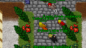 Tobeto pall on screen