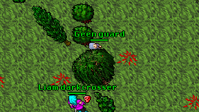 Geen guard on screen