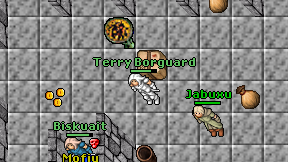 Terry Borguard on screen