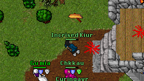 Incrised Kiur on screen