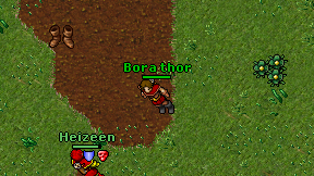 Bora thor on screen