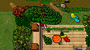 Kuba Ranger on screen