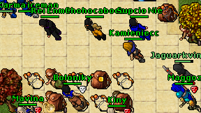 Kamieniecc on screen