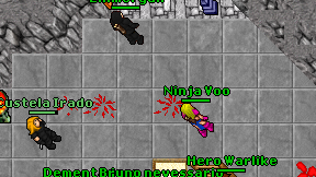Ninja Voo on screen