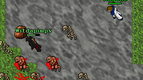 Witdapimps on screen