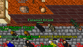 Folanut Druid on screen
