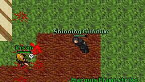 Shinning Gundum on screen