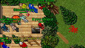 Kyss Sharil on screen