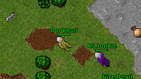 Darkbull on screen