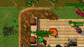 Redgar Ogar on screen