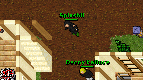 Splashii on screen
