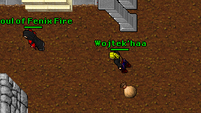 Wojtek'haa on screen