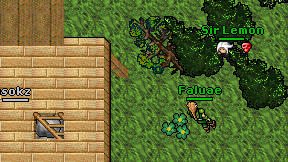 Busokz on screen